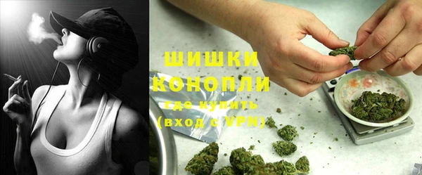 гашик Аркадак