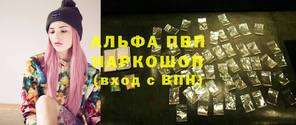гашик Аркадак