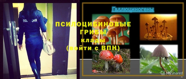 стафф Армянск