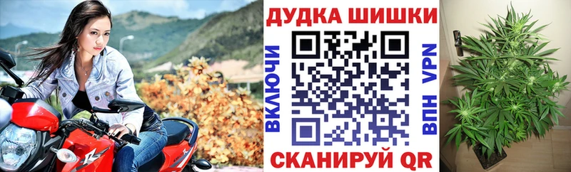 Каннабис ГИДРОПОН Данков